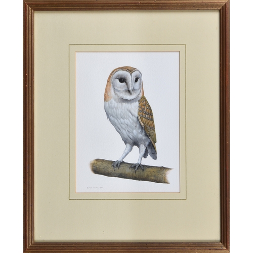 626 - Simon Turvey (British, b.1957), Barn owl, gouache and watercolour, signed and dated 1980 lower left,... 