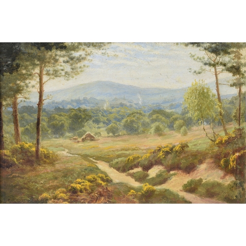 649 - Albert Starling (British, 1858-1947), Coates Common near Chichester, oil on board, signed lower left... 