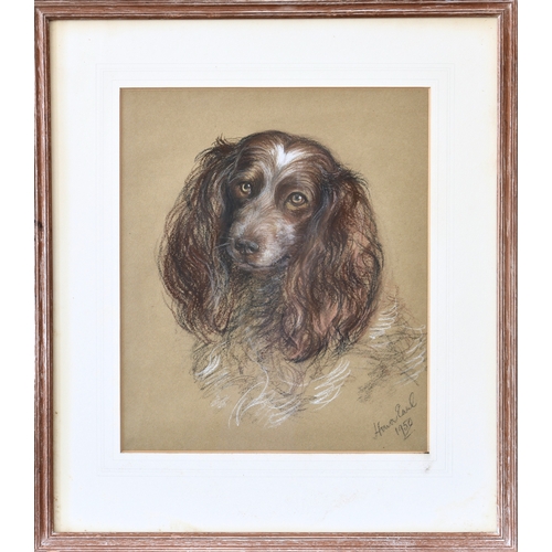 653 - Edith Honor Earl (British, 1901-1996), Spaniel and Labrador, pair of pastels on paper, both signed a... 