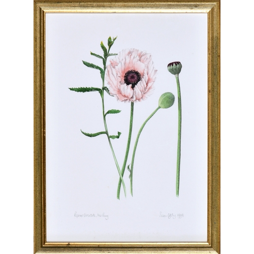 664 - Susan Ogilvy (British, b.1948), "Oriental Poppy", watercolour, signed and dated 1994, titl... 