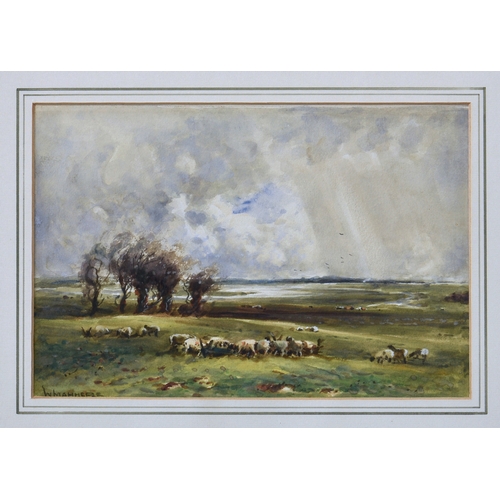 673 - William Manners R.B.A. (British, 1860-1930), Sheep in a Landscape, watercolour, signed lower left, f... 