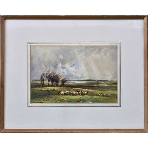 673 - William Manners R.B.A. (British, 1860-1930), Sheep in a Landscape, watercolour, signed lower left, f... 