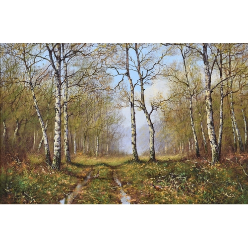 684 - James Wright (British, b.1935), "Woodland Track", oil on canvas, signed lower right, inscr... 