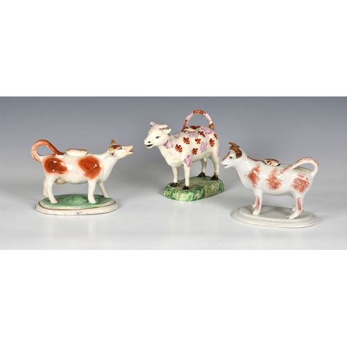 70 - Three Staffordshire Cow Creamers, various glazes, in white, browns, oranges and pink lustre, tallest... 