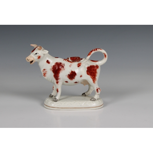 393 - A 19th century Staffordshire ceramic cow creamer 7in. (17.8cm.) long.