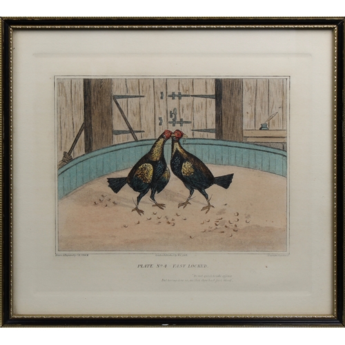 573 - Five Cock Fighting colour engravings after H Alken engraved C R Stock, the plates titled - A Start; ... 