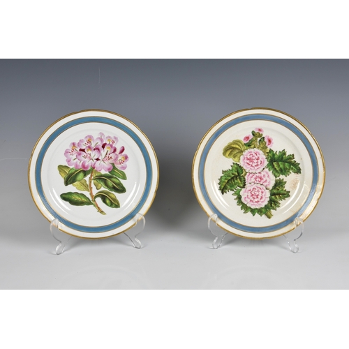 118 - An 18th century Coalport soft paste botanical part dessert service each piece painted with a named s... 