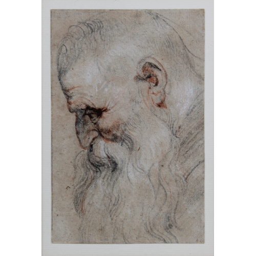 303 - Circle of Sir Peter Paul Rubens (Flemish, 1577-1640). Four drawings of heads of bearded men. (A) Hea... 