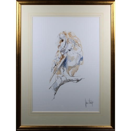 419 - Spencer Hodge (b.1943) Barn Owls watercolours, both signed lower right (pair) portrait - 19 x 26¼in.... 