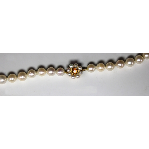 800 - A Mikimoto single strand cultured pearl necklace Featuring a 9ct yellow gold gem set clasp.