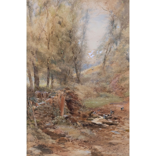 296 - Paul Jacob Naftel RWS (Guernsey, 1817-1891) An Old Well, Dixcart Valley, Sark watercolour, signed an... 