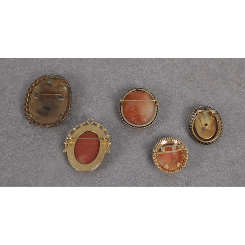 1178 - A small collection of cameo brooches of varying ages and sizes. (5)