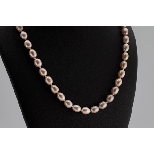 1233 - A pink pearl necklace the string of oval pearls to a 9ct yellow gold clasp, length 47cm.