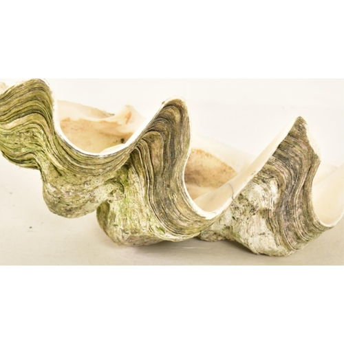 1364 - Conchology - Giant Clam Shell (Tridacna gigas) measures approx. 53cm. wide x 33cm. deep.