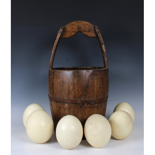 1405 - Natural History: Ostrich Eggs A group of six Ostrich eggs contained within a coopered oak well bucke... 