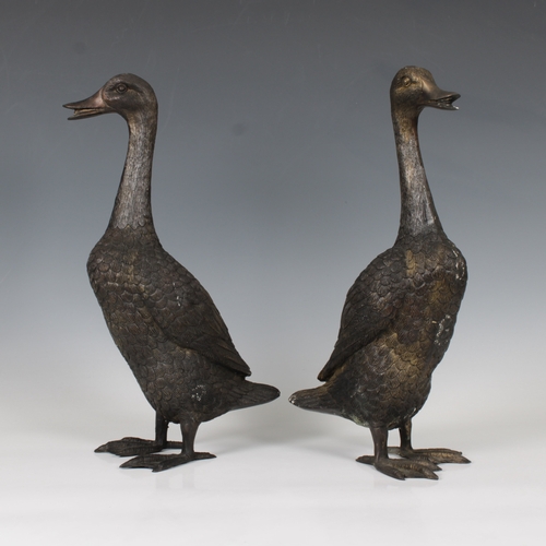 1476 - A pair of late 19th century bronze runner ducks 39.4cm. high.