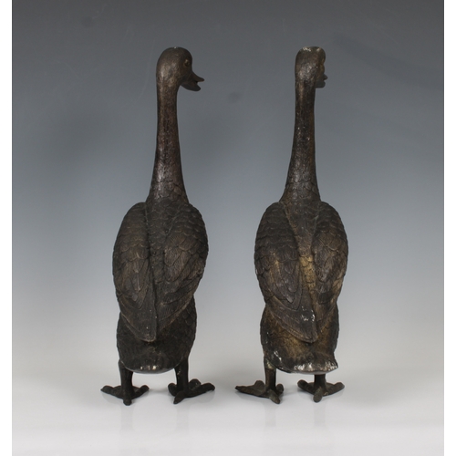 1476 - A pair of late 19th century bronze runner ducks 39.4cm. high.