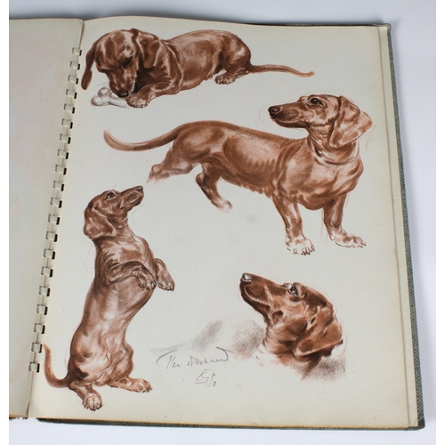 553 - An album of dog drawings by Diana Thorne -1944