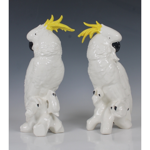 20 - A pair of mid 20th century Staffordshire ceramic cockatoos with yellow plumage to the heads, each wh... 