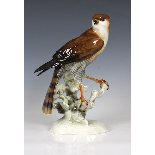 8 - Hutschenreuther 'Achtziger' Porcelain Bird of Prey - Sparrowhawkblue company mark, 30cm. high.