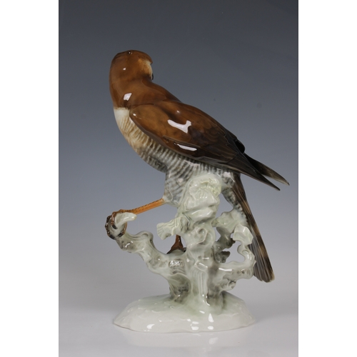 8 - Hutschenreuther 'Achtziger' Porcelain Bird of Prey - Sparrowhawkblue company mark, 30cm. high.