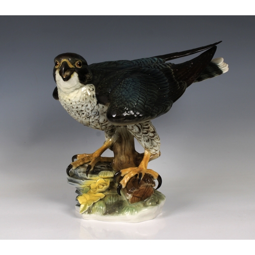 9 - Hutschenreuther Porcelain Bird of Prey - Peregrine Falcongreen company mark, 25cm. high.