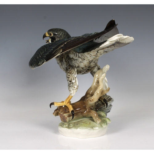 9 - Hutschenreuther Porcelain Bird of Prey - Peregrine Falcongreen company mark, 25cm. high.