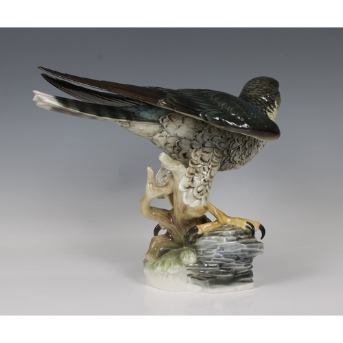 9 - Hutschenreuther Porcelain Bird of Prey - Peregrine Falcongreen company mark, 25cm. high.