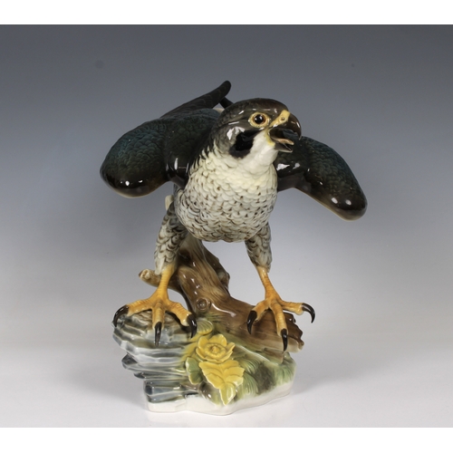 9 - Hutschenreuther Porcelain Bird of Prey - Peregrine Falcongreen company mark, 25cm. high.