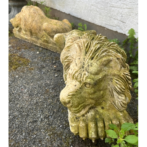 269 - Garden statuary - A pair of heavy marble recumbent lion figuresyellow in colour, raised on rectangul... 