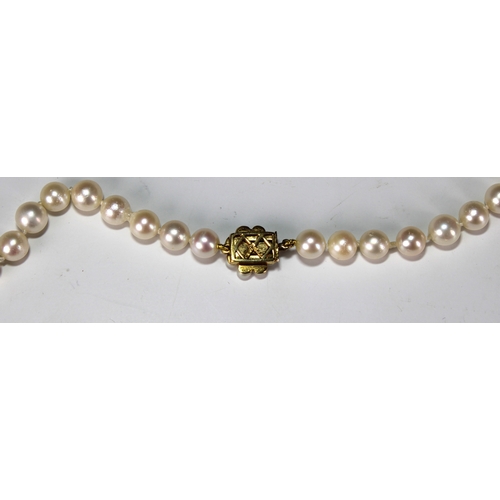 647 - A Mikimoto single strand cultured pearl necklaceFeaturing a 9ct yellow gold gem set clasp.