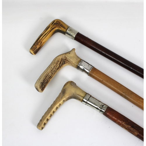 1122 - Three horn handle walking stickswith white metal collars. (3)