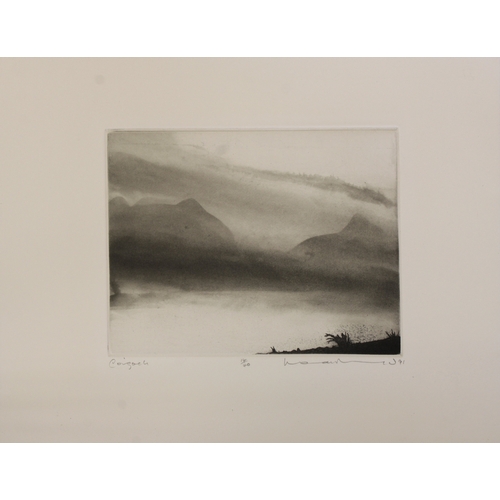 16 - NORMAN ACKROYD CBE RA (BRITISH, 1938-2024)   Summer Isles , A set of 12 etchings, loose but contai... 