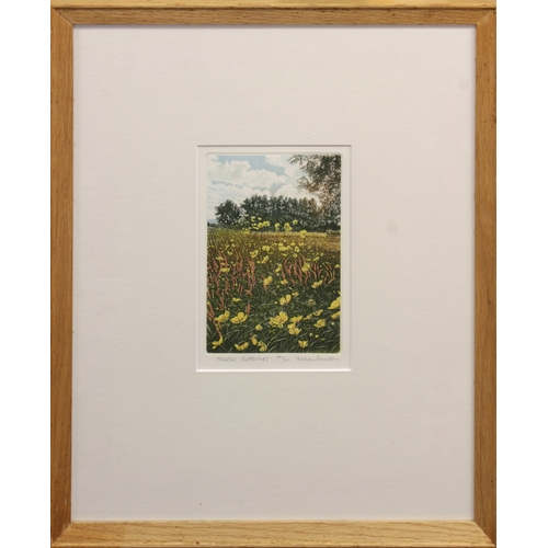 36 - GRAHAM EVERNDEN (BRITISH, B.1947)   Meadow Buttercups , White Daisies , Each signed, inscribed a... 