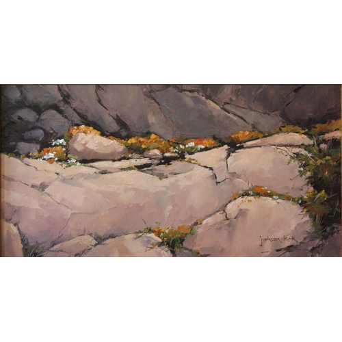 64 - JOHAN KOK (ZIMBABWEAN, B.1954)   Blooming Nababeep Rocks , Signed, oil on canvas, 30cm x 59.5cm ,