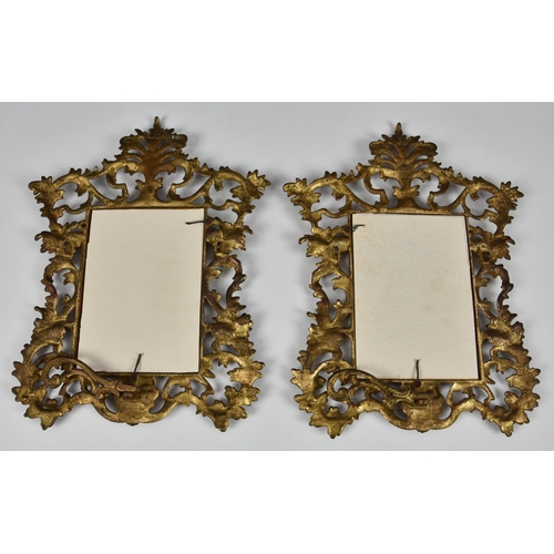 52 - A pair of Victorian style gilt metal foliate pierced photograph frames the pierced foliate and scrol... 