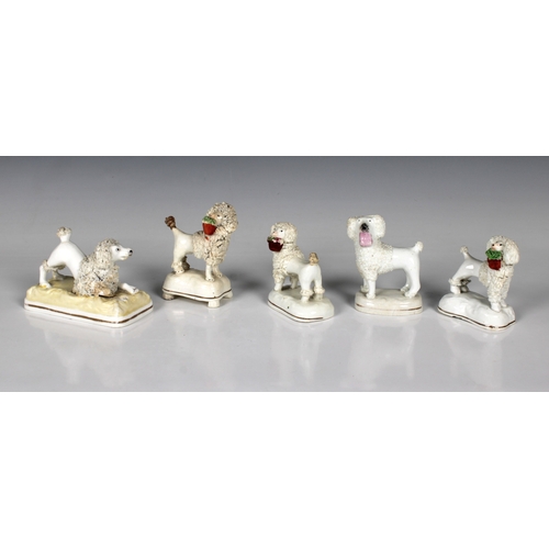 580 - Five miniature Staffordshire Poodle figurines with flocked accents, raised on shaped bases, the larg... 