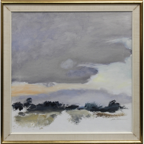 Lot 295       