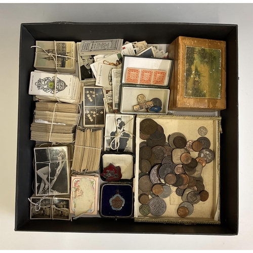 Lot 517       
