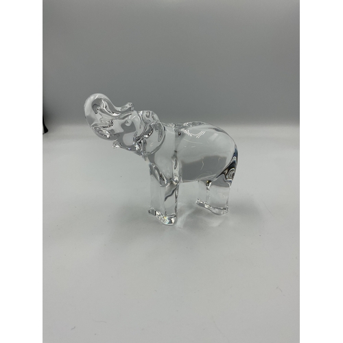 Lot 53        