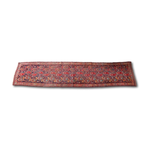 Lot 53        