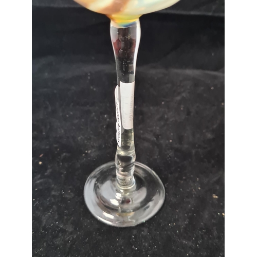 164 - Unusual Vintage Hand Blown Glass 9.5