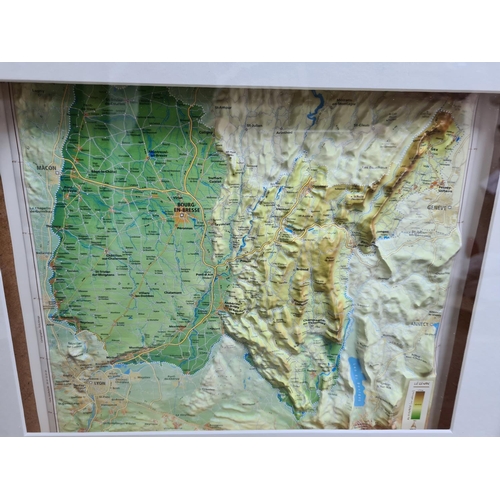28 - 3D Relief Map of Eastern France in a Contemporary Frame 17