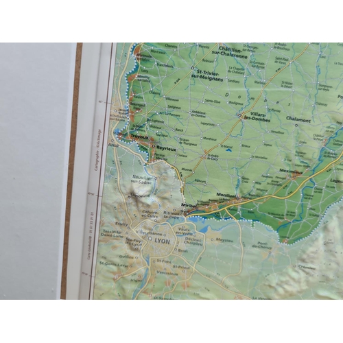 28 - 3D Relief Map of Eastern France in a Contemporary Frame 17