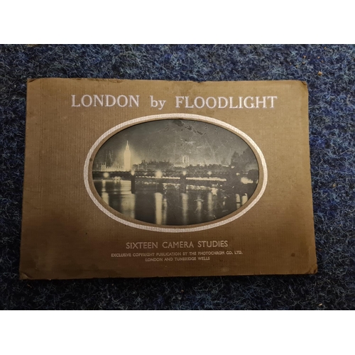 Lot 241       
