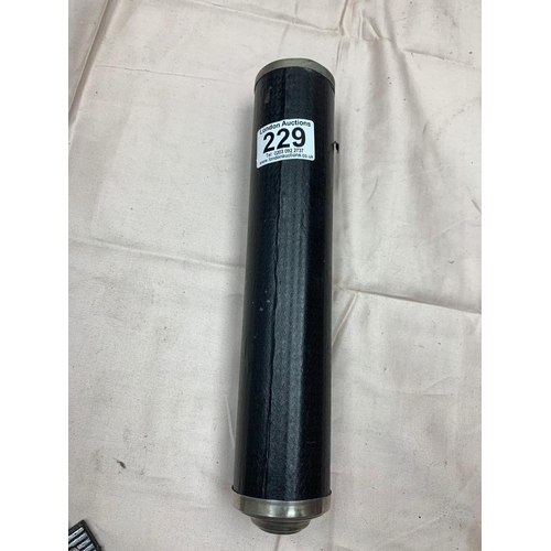 Lot 229       