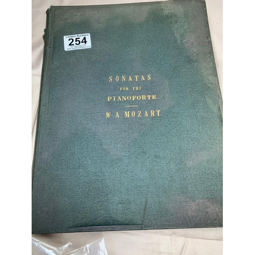 Lot 254       