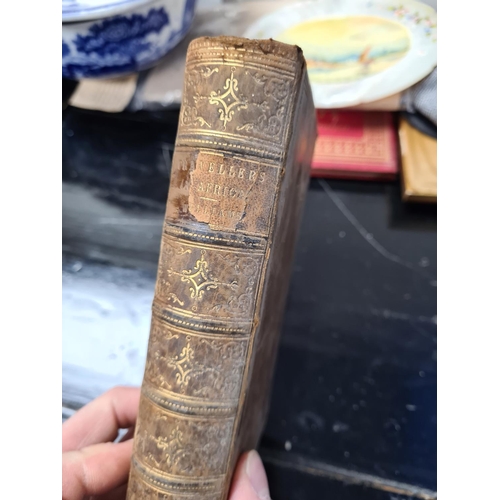 Lot 954       