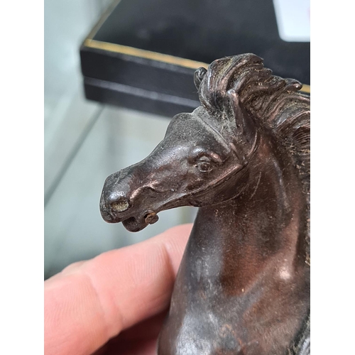 174 - Old Bronze of a Rearing Horse (A/F)