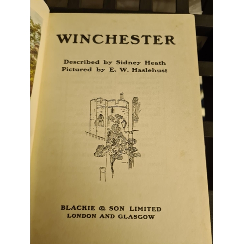 228 - Winchester Painted by EW Haslehurst Hardback with color illustrations